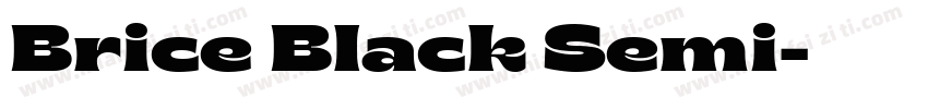 Brice Black Semi字体转换